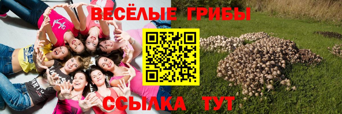 Ижевск  Галлюциногенные грибы Cubensis  Вход с VPN  Псилоцибиновые грибы GOLDEN TEACHER 